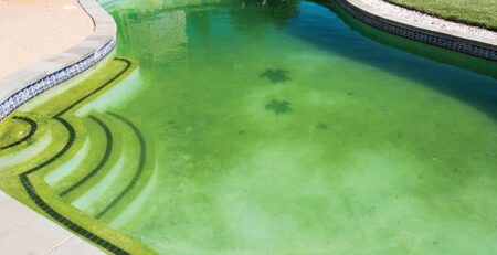 Traitement eau verte piscine