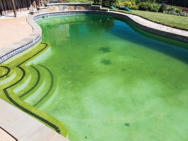 Traitement eau verte piscine