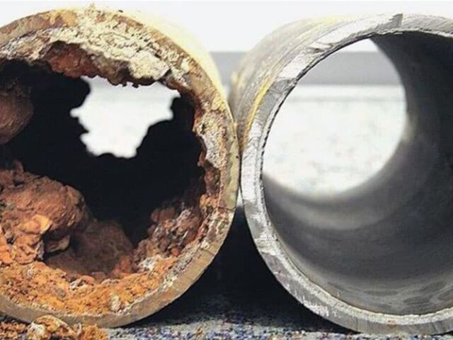 Biofilm canalisations